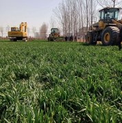 山东鄄城:土地流转应规范有序 代替农民作主不可取