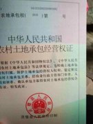 安徽灵璧:耕种18年有承包权证的土地被确权给他人,谁在滥用自己的权利?