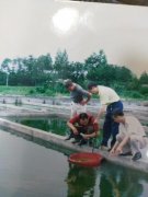 四川新都:民营渔场遭村民哄抢古稀老人上告无门