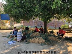 基层声音:农民群体谋求发展太难了,太痛苦了!!