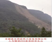 重庆丰都县五洞岩风电项目违规毁林引发泥石流责任谁负?