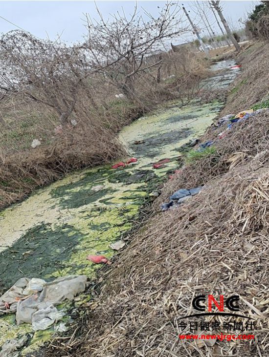 unnamed-file-7 unnamed-file-7