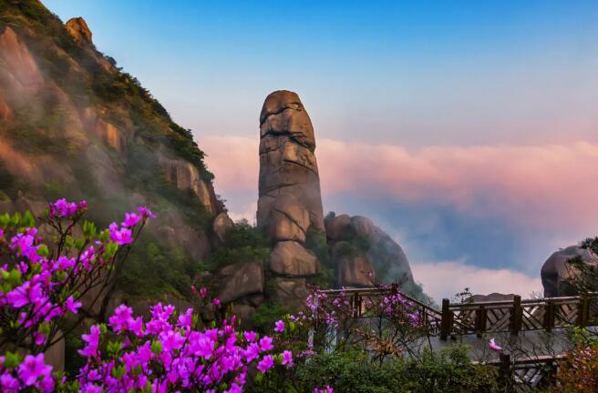 1616659822135071997.jpg 5.jpg