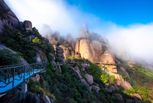 1616659771150020693.jpg 4.jpg