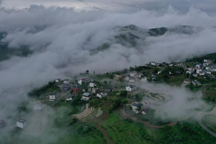 1616659728510033490.jpg 7.jpg