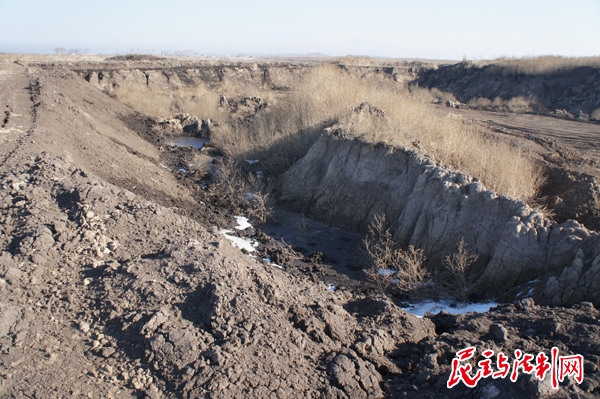 20210426115419784 20210426115419784