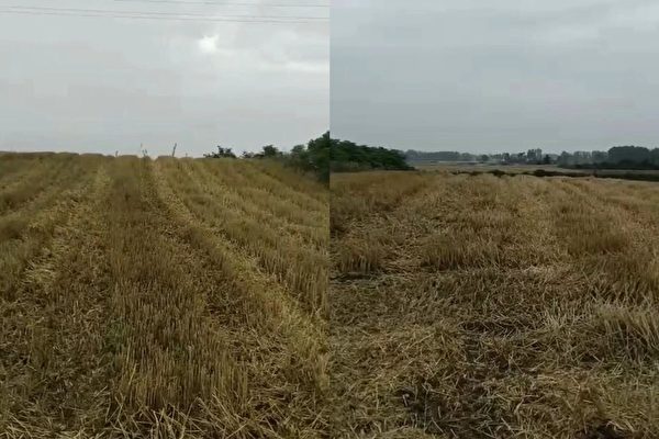 id13002261-S__4620297-600x400-1 id13002261-S__4620297-600x400-1