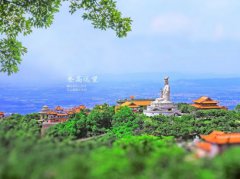 一封来自广东东莞知名企业董事长的举报信（上）