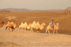 墨笔:世界艺术将进入一个崭新的纪元时代