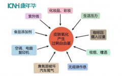 康年华负氧离子对人体健康作用