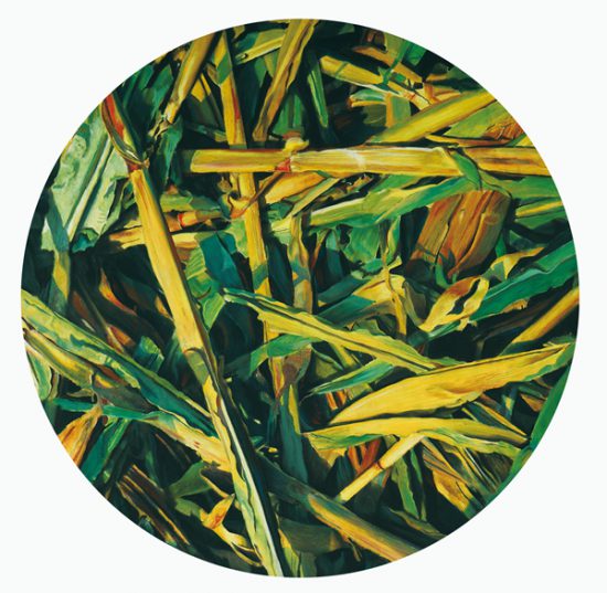 202342010302998438 202342010302998438